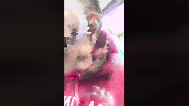 Xxxgringo  12-03-2022 video play