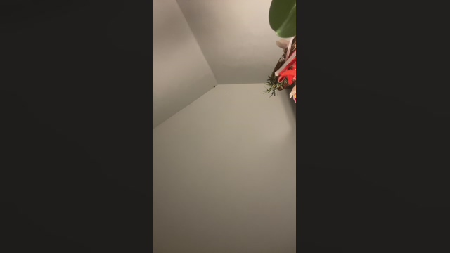 germaker10  12-03-2022 video sexymale