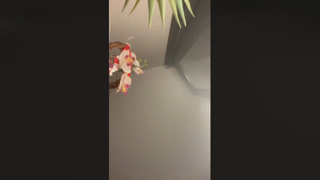 germaker10  12-03-2022 Recorded Video Recorded