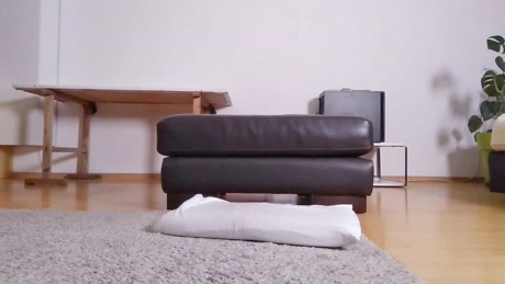 slimm88  11-03-2022 video spanking