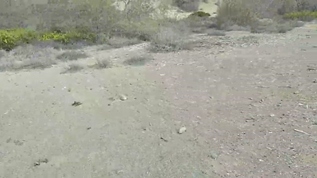 Pabloysebas  12-03-2022 video juicy