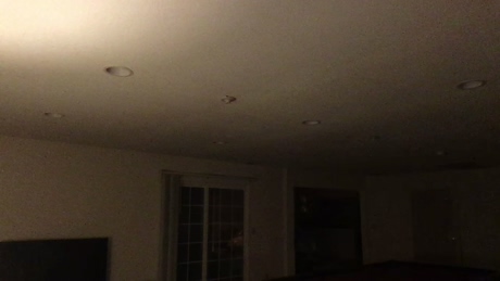 palpation  13-03-2022 video Show