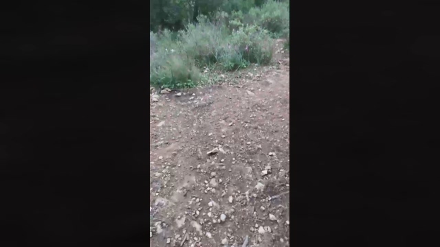 Slavomir78  13-03-2022 video sex