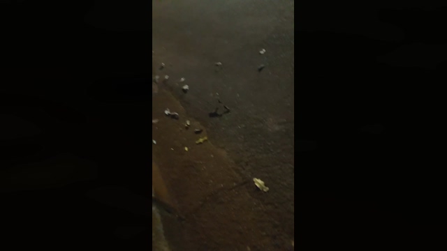 Vitor6900  14-03-2022 video sexykitty