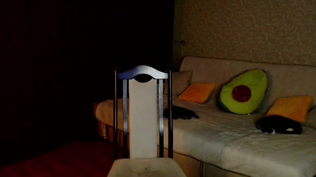 leon_lan  13-03-2022 video gay