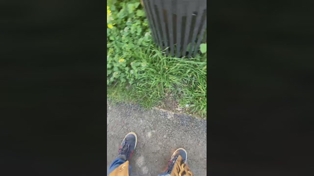 Frredd2  14-03-2022 video toy