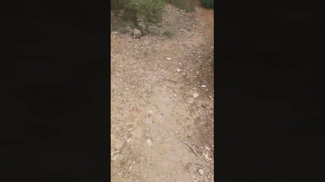 Slavomir78  15-03-2022 video jerkoff