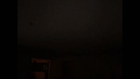 palpation  14-03-2022 video sweet