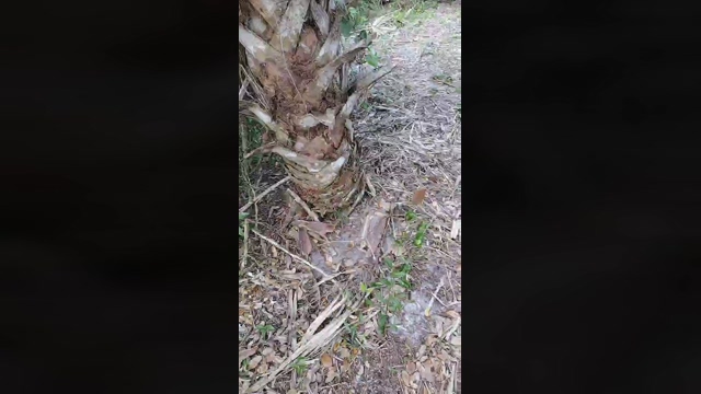 underwatermast1  14-03-2022 Recorded Video fuckface