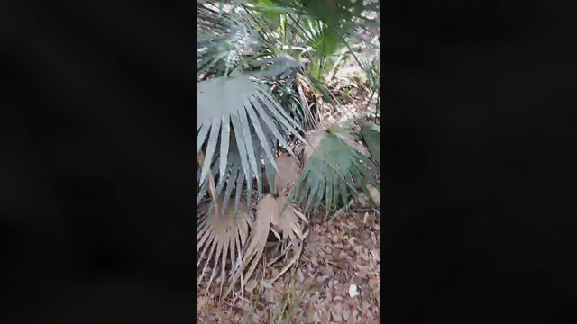 underwatermast1  14-03-2022 video fuckme