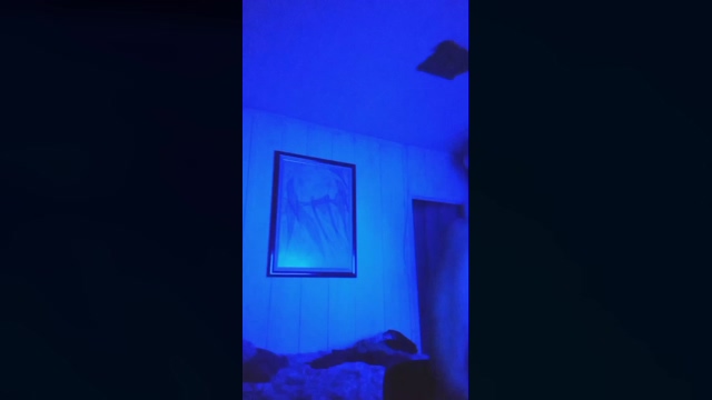AdrianWitt  16-03-2022 Recorded Video Ass