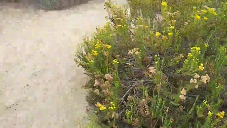 Pabloysebas  15-03-2022 Recorded Video orgasm