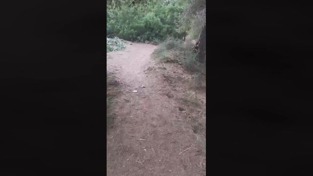 Slavomir78  15-03-2022 Recorded Video jerkoff