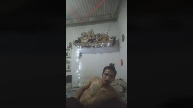 ppedrotreze3