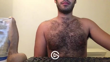 Toy_fox  17-03-2022 video analtoy