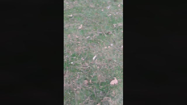 big_blackc  17-03-2022 video fuckhard