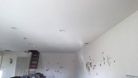 palpation  16-03-2022 video beautiful