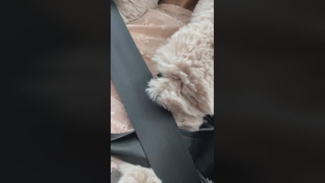 MissFeetParis 17-03-2022 amateur 