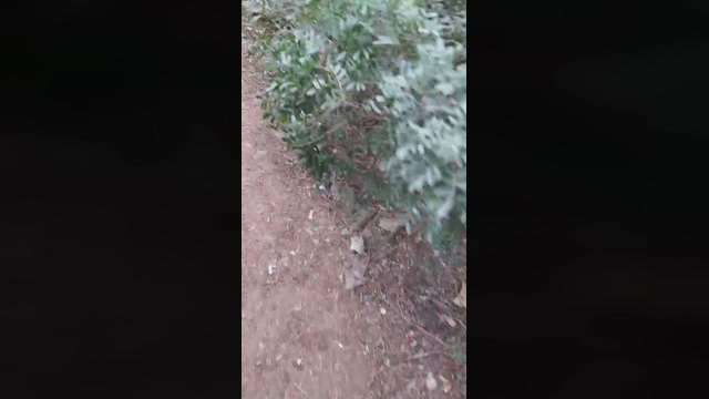 Slavomir78  18-03-2022 Recorded Video yummy