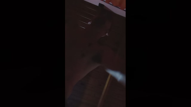 _facuemman  18-03-2022 Recorded Video hard