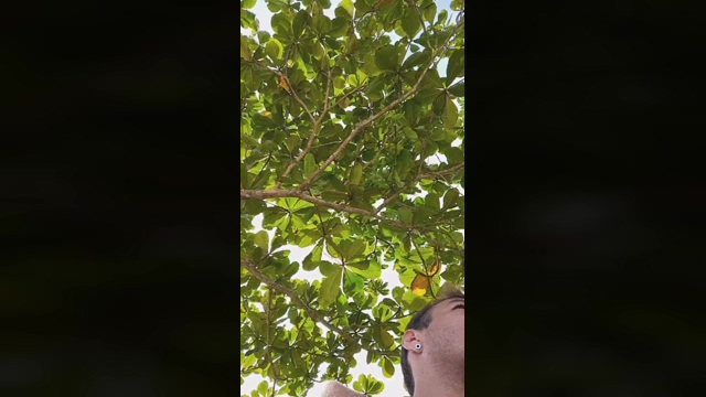 adrianouba  19-03-2022 Recorded Video ass
