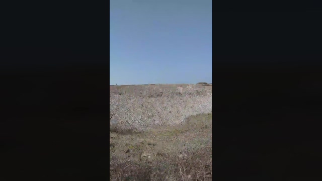 CuriouspussyX 20-03-2022 fuckass 