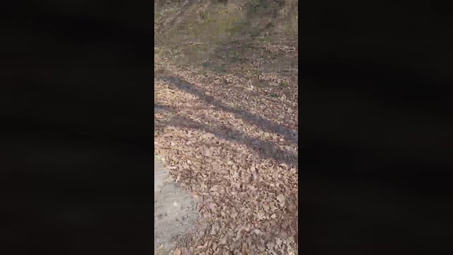 durodotato  20-03-2022 Recorded Video sexy