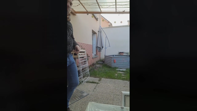 tomsauwer  19-03-2022 video gag