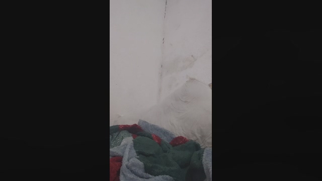 Ericksillva  21-03-2022 Recorded Video jerkoff