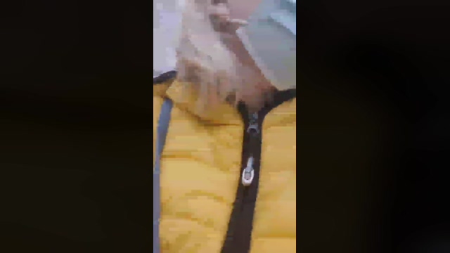 LADY_CHARLYNE 21-03-2022 Porn 