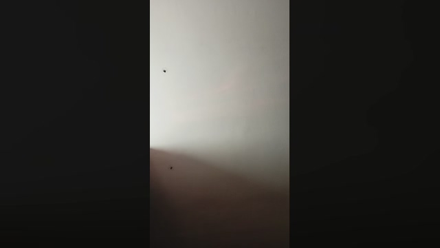 Ocram8686  21-03-2022 Recorded Video lick