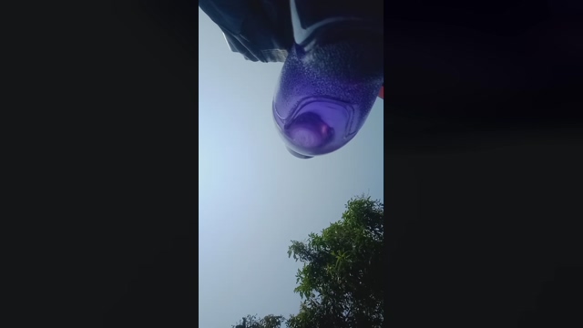 chiranjitho1  21-03-2022 Recorded Video ass