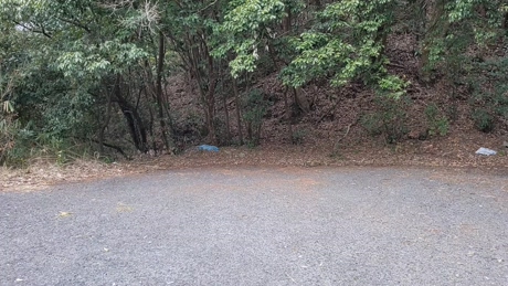 sorato111  21-03-2022 video big