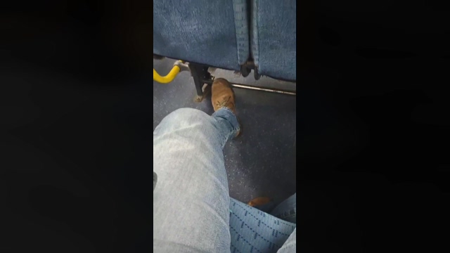 Barbedo423  22-03-2022 video hard