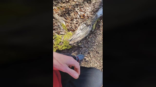 ENI__  22-03-2022 Recorded Video toy