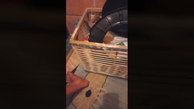 Novindot69