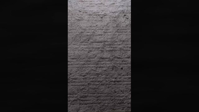 PICADEMELLLL  22-03-2022 video Ass