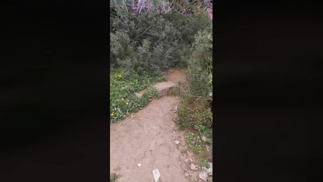 Slavomir78  22-03-2022 video kink