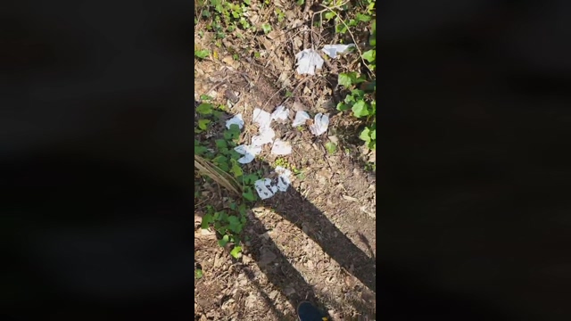 benrs3  22-03-2022 Recorded Video play