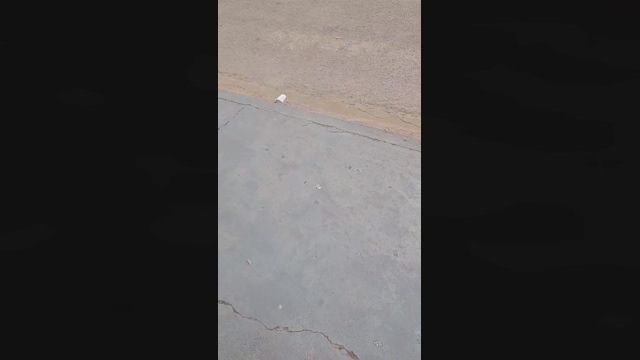 Biispoo  22-03-2022 video Webcam