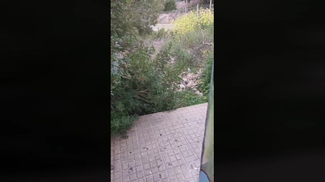 Slavomir78  22-03-2022 video striptease