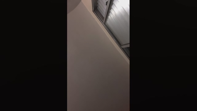 Vinnyferr  23-03-2022 video bigload