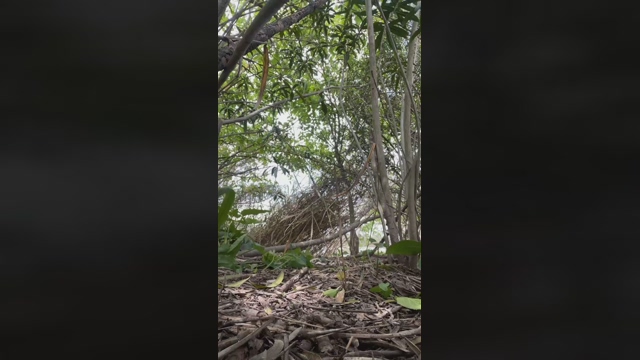 daylabo  23-03-2022 video nasty