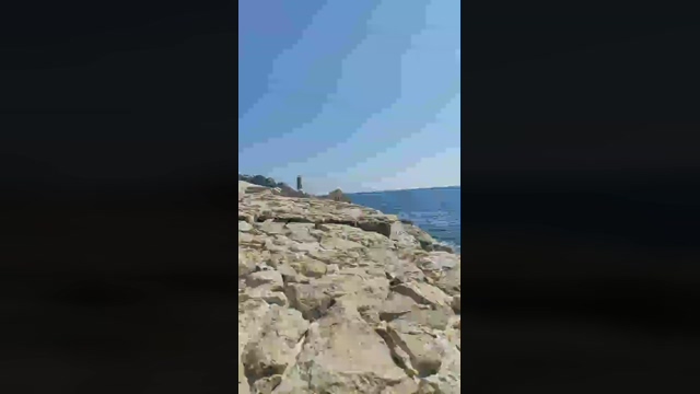 elvis34h  23-03-2022 video bigballs