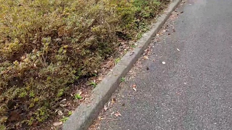 sorato111  23-03-2022 video gay