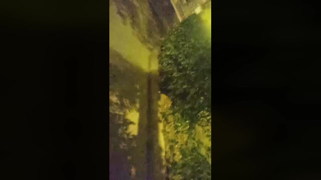 2horny2gay  23-03-2022 video jackoff