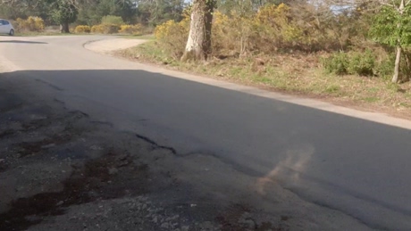 Cuni40  23-03-2022 video twink