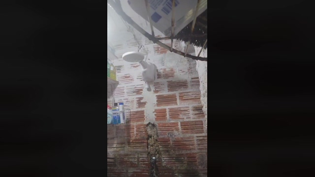 Vitorpicudo  24-03-2022 video fuckface