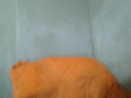 caiorio2  23-03-2022 video bigload