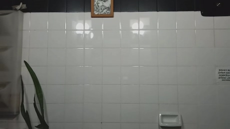 manuelmp87  24-03-2022 video Download